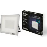 Светодиодный прожектор RITTER серия PROFI 230В 300 Вт 6500К 30000Лм IP65 черный 53413 0 (артикул 23833971) – фото 1