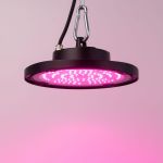 Светодиодный фитопрожектор для растений ЭРА FITO-50W-RB-LED-UFO красно-синего спектра 50 Вт, Б0053280 (артикул 20774985) – фото 1