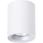 Потолочный светильник Arte Lamp TORRE A1532PL-1WH (артикул 18293947) – фото 1