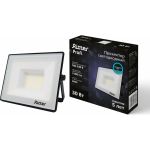 Светодиодный прожектор RITTER серия PROFI 230В 30 Вт 6500К 3000Лм IP65 черный 53407 9 (артикул 23833935) – фото 1