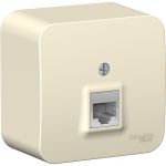Телефонная розетка Schneider Electric BLANCA, О/У, RJ11, молочный BLNIA011002 (артикул 16314026) – фото 1