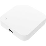 Умный шлюз Roximo Zigbee + Bluetooth GWZBT01 (артикул 22829895) – фото 1