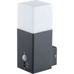 Фасадный светильник с датчиком KANLUX VADRA 21L-UP SE 29011 (артикул 16246106) – фото 1
