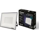Светодиодный прожектор RITTER серия PROFI 230В 100 Вт 6500К 10000Лм IP65 черный 53410 9 (артикул 23833953) – фото 1
