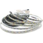 Светодиодная лента General Lighting Systems GLS-5050-60-14.4-12-IP20-RGB+3 503801 (артикул 16257097) – фото 1