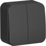 2-клавишный выключатель Schneider Electric Blanca наружный, Антрацит 10А, 250B SE BLNVA105016 (артикул 20634232) – фото 1
