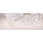 Светодиодная лента Arlight S2-A560-85mm 24V Day4000 0212102 (артикул 23393121) – фото 1