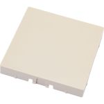 Заглушка Schneider Electric AtlasDesign Бежевый SE ATN000209 (артикул 19936018) – фото 1