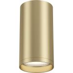 Потолочный светильник MAYTONI FOCUS S 1xGU10x10W C052CL-01MG (артикул 23425437) – фото 1