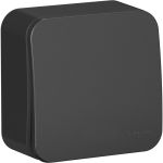 1-клавишный выключатель Schneider Electric Blanca наружный, Антрацит 10А, 250B SE BLNVA101016 (артикул 20632522) – фото 1