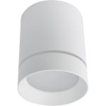 Потолочный светильник ARTE LAMP A1949PL-1WH (артикул 20886621) – фото 1