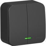 2-клавишный выключатель Schneider Electric Blanca наружный, Антрацит с подсветкой 10А SE BLNVA105116 (артикул 20632966) – фото 1