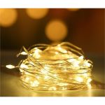 Светодиодная гирлянда Дон Баллон Роса 30 Led, IP14, 3 м, теплый белый, 1 шт. 512027 (артикул 28548476) – фото 1