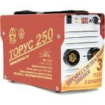 Сварочный аппарат с комплектом проводов Торус 250 (артикул 15608222) – фото 1