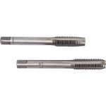 Метчик в пластиковом футляре ЭВРИКА M08x1,25 2шт ER-00812M (артикул 15990895) – фото 1