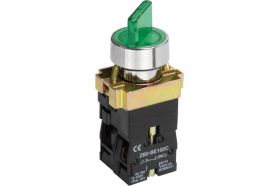 Переключатель IEK LAY5-BK2365 2 положения, зеленый, ИЭК BSW90-BK-2-K06 (артикул 15167298) – фото 1