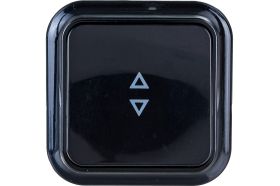 Выключатель Bylectrica 1-клавишный открытая установка, 6А проходной, серия ПРАЛЕСКА, А610-147 черный (артикул 17384076) – фото 1