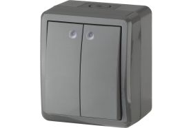 Двойной выключатель с подсветкой ЭРА 11-1405-03 IP54, 10АХ-250В, ОУ, Эксперт, серый Б0020678 (артикул 15980784) – фото 1