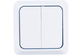 Двухклавишный выключатель Intro Quadro, 10А-250В, IP20, открытая установка, без монтажной пластины, белый, Б0053901 (артикул 20771373) – фото 1