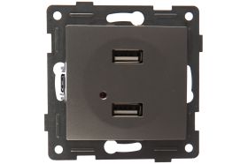 Розетка USB GUSI ELECTRIC Bravo двойная, СУ, серебро С10USB2-004 (артикул 16032709) – фото 1