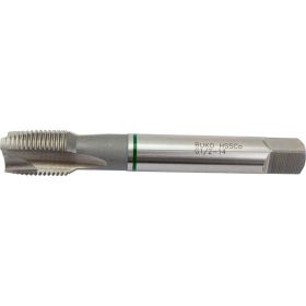 Машинный метчик Ruko G 1/2-14 HSSE 262012E (артикул 16525758) – фото 1