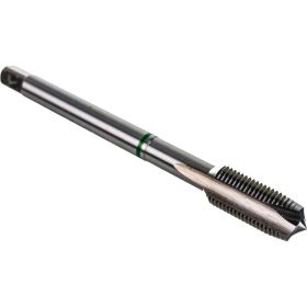 Машинный метчик Ruko М 10 Шаг 1.0 мм HSSE 260100E (артикул 16526306) – фото 1