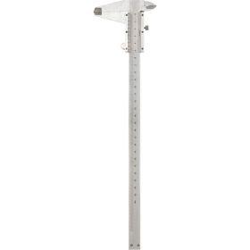 Штангенциркуль REXANT ШЦ - 250 мм 12-9102 (артикул 16629914) – фото 1