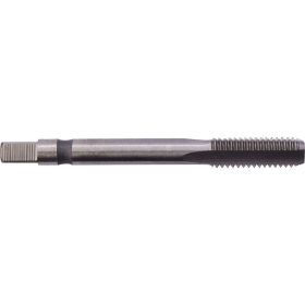 Метчик м/р SDW TOOLS М6,0х1,0 P6M5 для глух. с прох. хв. ta00116 (артикул 16805833) – фото 1