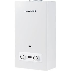 ВПГ Mizudo 3-10 20 кВт, Oxygen free Euro, 10 л/мин VPG310 (артикул 16356411) – фото 1