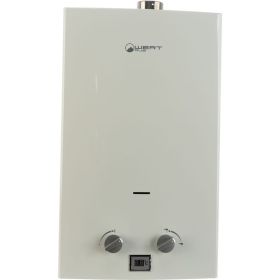 Газовый проточный водонагреватель WERT 10LT white W2016 (артикул 15746679) – фото 1