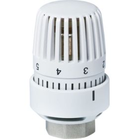 Термостатическая головка ALTSTREAM ALT-T М30х1.5 024040101 (артикул 18074059) – фото 1