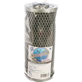 Картридж из спечённого активированного угля Aquafilter 10BB серия SILVER FCCBL10BB-S. 746 (артикул 15639885) – фото 1
