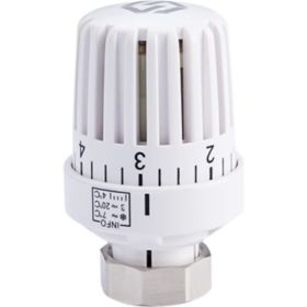 Термостатическая головка с жидкостным датчиком MVI 30x1,5 TR.550.01 (артикул 26152775) – фото 1