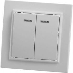 Выключатель STEKKER 2-клавишный с индикатором, 220V, 10А, серия Эрна, белый, PSW10-9002-01 39042 (артикул 16171575) – фото 1