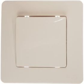 1-клавишный выключатель Schneider Electric BLANCA 10А, 250B, МОЛОЧНЫЙ BLNVS010102 (артикул 16314263) – фото 1