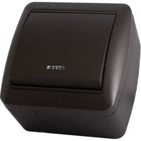 1-клавишный выключатель TDM открытой установки с подсветкой IP44 10А шоколад Селигер SQ1818-0203 (артикул 16533979) – фото 1