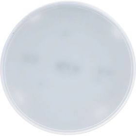 Светодиодная лампа IN HOME LED-GX70-VC 16Вт, 230В, 6500К, 1280Лм 4690612021492 (артикул 16146128) – фото 1