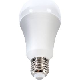 Светодиодная лампа Ergolux LED-A70-35W-E27-6K ЛОН, 35Вт, E27, 6500K, 180-240В 14232 (артикул 16392494) – фото 1
