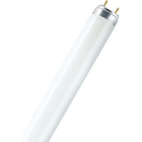 Линейная люминесцентная лампа OSRAM L 18W/77 10X1 CRP 4058075402829 (артикул 18295201) – фото 1