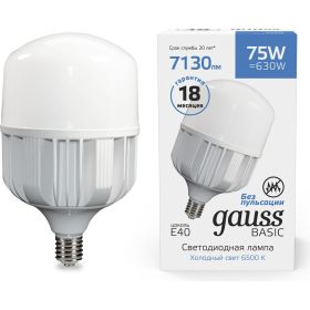Лампа Gauss Basic, T140, AC180-240V, 75W, 7130lm, 6500K, E40, LED, 1/12 11734382 (артикул 16436669) – фото 1