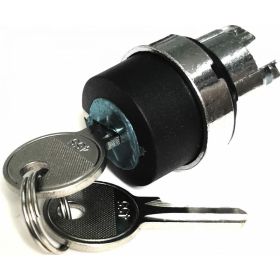 Головка переключателя Briswik 22мм 2 поз ключ фиксация металл КПЕ 11КС IP40 LAY4-BG2.BR (артикул 19644720) – фото 1