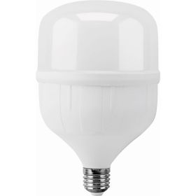 Светодиодная лампа LEEK LE T- 30W LED 6K E27 20 P LE010511-0010 (артикул 16530406) – фото 1