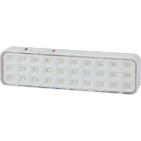 Светильник светодиодный ЭРА, DBA102020, аварийный, непостоянный, 30LED, 5ч, Б0044395 (артикул 16200075) – фото 1