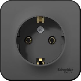 Наружная розетка Schneider Electric Blanca Антрацит, с заземлением, без шторок, 16А, 250В SE BLNRA010116 (артикул 20632792) – фото 1