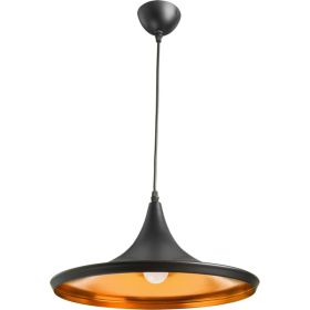 Подвесной светильник Arte Lamp CAPPELLO A3406SP-1BK (артикул 18293311) – фото 1