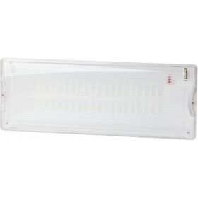 Светодиодный аварийный постоянный светильник ЭРА DPA301165 40LED 3ч IP65 NiCD Б0051843 (артикул 19466616) – фото 1