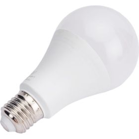 Светодиодная лампа RSV A65-20W-6500K-E27 P 100428 (артикул 18626431) – фото 1