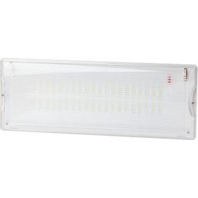 Аварийный светодиодный светильник ЭРА DPA301065, 40LED, 3ч Б0044405 (артикул 16200040) – фото 1