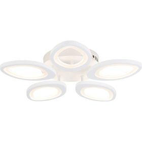 Потолочная люстра Ambrella Light ACRYLICA FA4492 (артикул 26104883) – фото 1