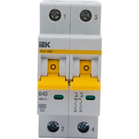 Автоматический выключатель IEK ВА47-60M 2Р 40А 6кА B MVA31-2-040-B (артикул 21319708) – фото 1
